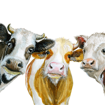 Three Yellow Goats Decoupage A1 sheet - Three Wise Cows * New in