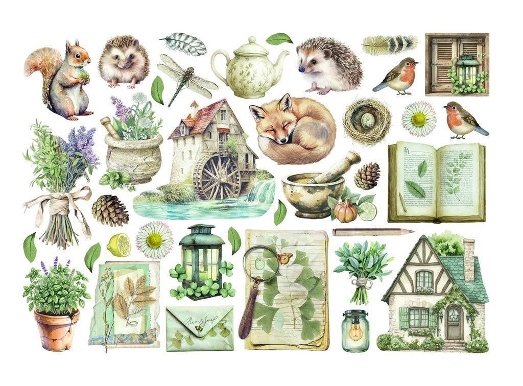 *New* Stamperia Herbarium Silvae Adhesive Ephemera 300gr PREORDER DISPATCH APPX 9TH DEC