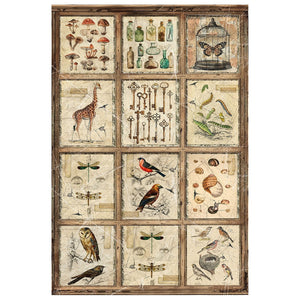 Ciao Bella Cabinet of Curiosities Rice Paper A4 Mixed 4 pack