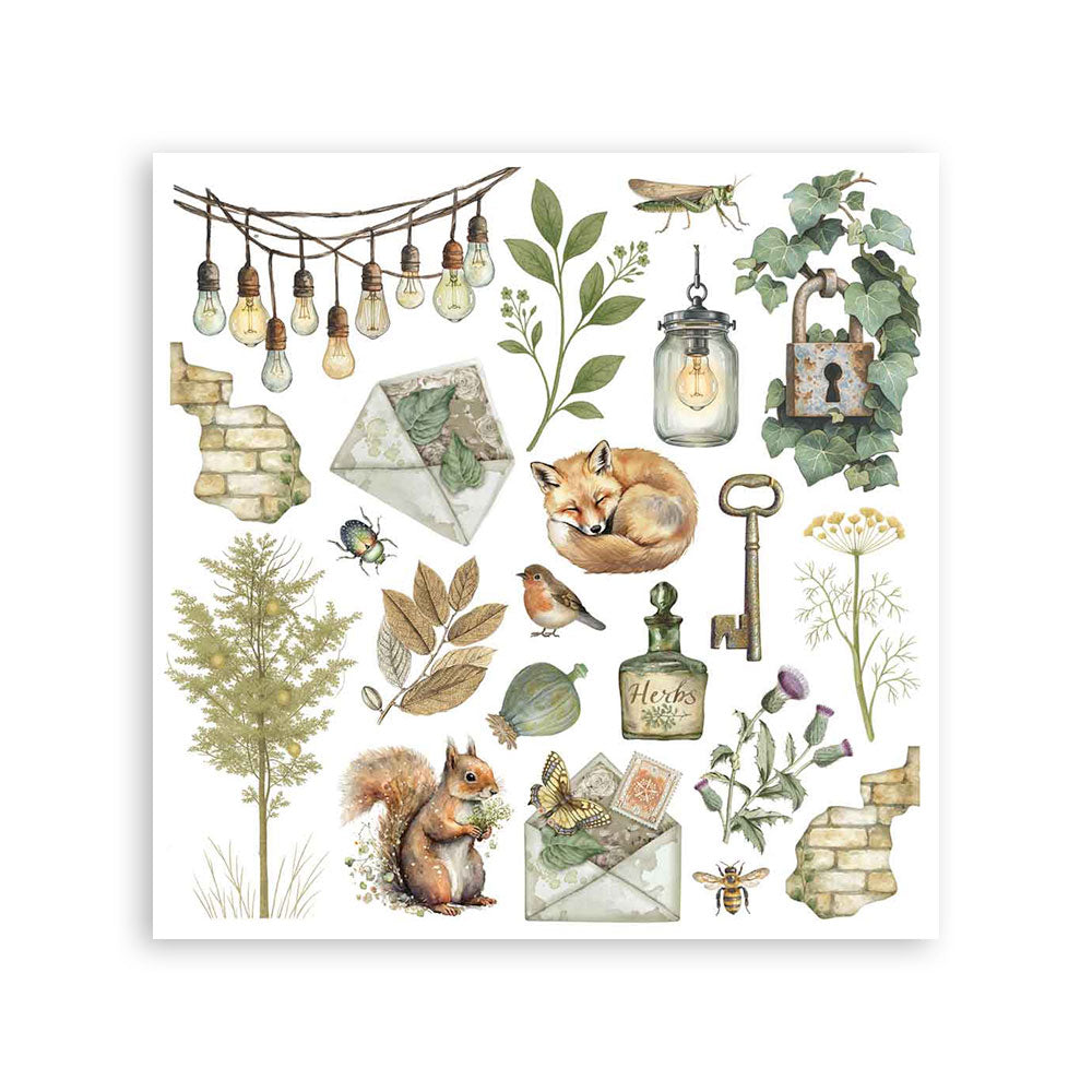 *New In* Stamperia Rub On Assortment Herbarium Silvae PREORDER DISPATCH APPX 9TH DEC