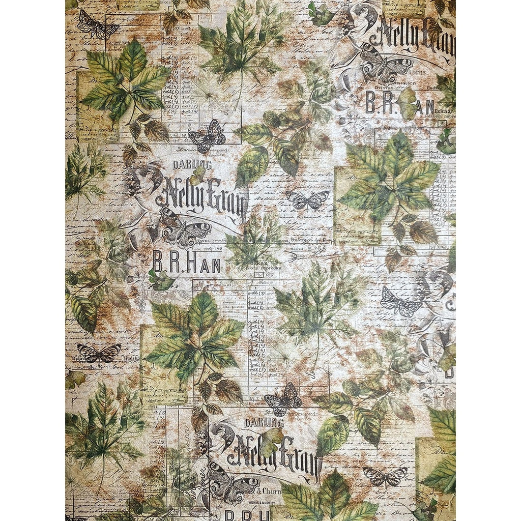 Ciao Bella Cabinet of Curiosities Deluxe Pearl A4 Paper pack (5 assorted sheets)
