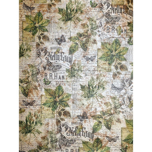 Ciao Bella Cabinet of Curiosities Deluxe Pearl A4 Paper pack (5 assorted sheets)