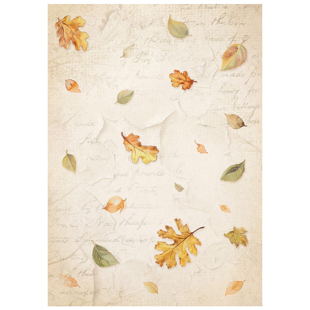 *New In* Stamperia Rice Paper Backgrounds Whispering Woods 8 x A6 sheets PREORDER DISPATCH APPX 13TH SEPT