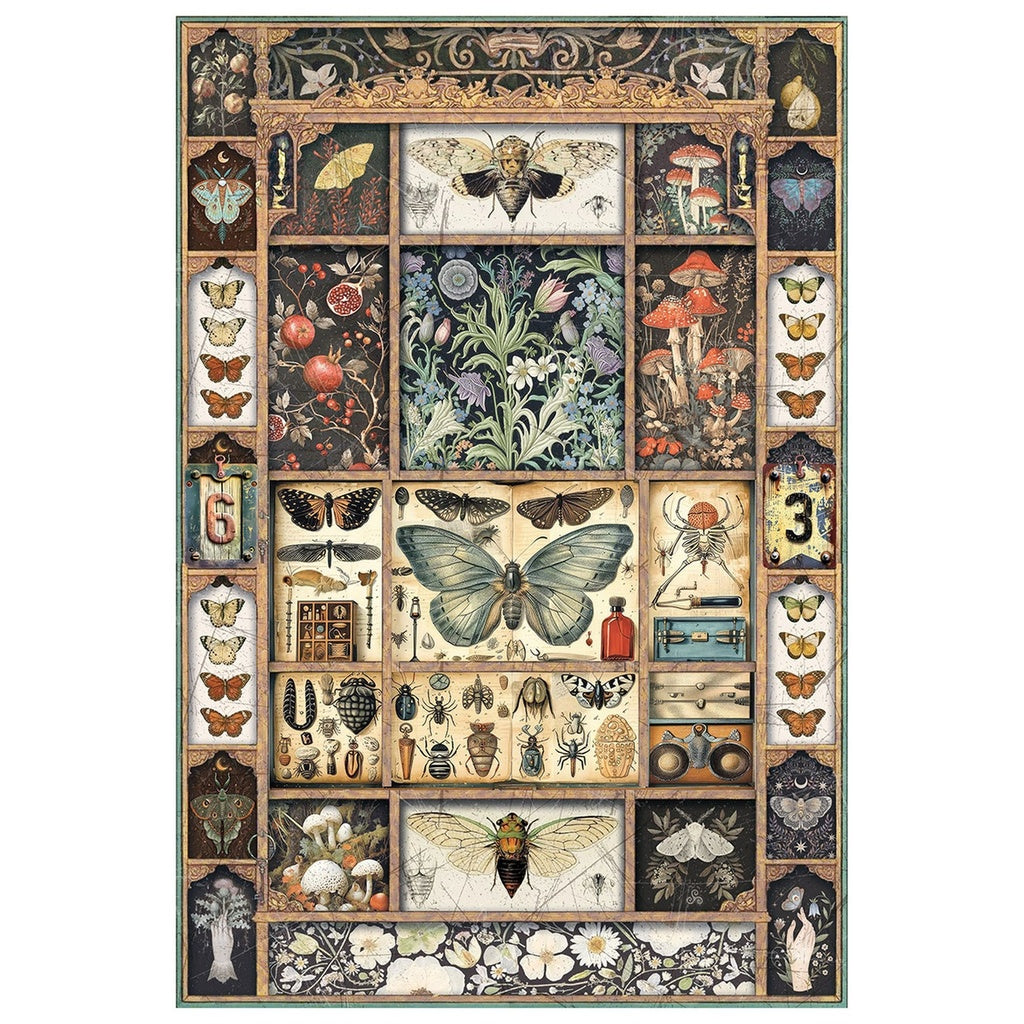 Ciao Bella Cabinet of Curiosities Rice Paper A4 Mixed 4 pack
