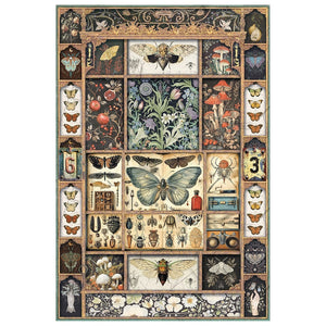 Ciao Bella Cabinet of Curiosities Rice Paper A4 Mixed 4 pack