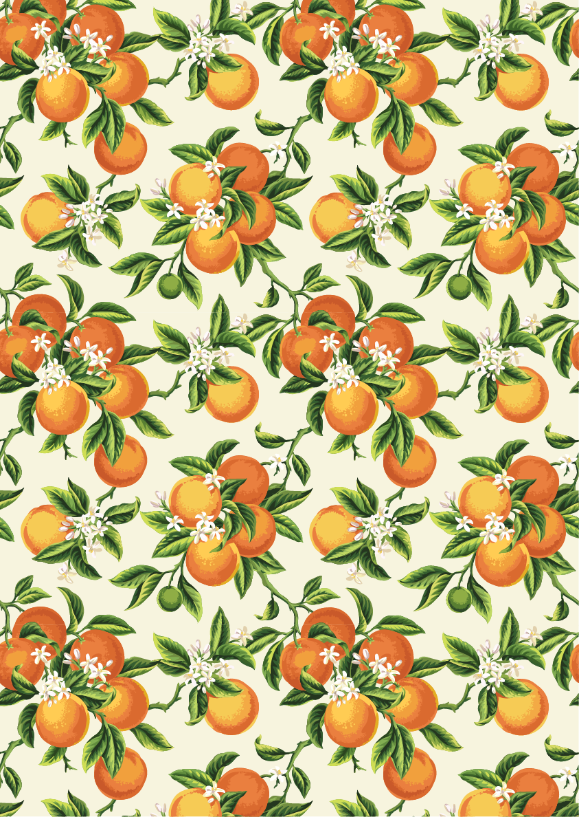 *New* Belle's and Whistles A3 Decoupage Rice paper 'Vintage Oranges'