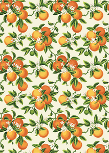 *New* Belle's and Whistles A3 Decoupage Rice paper 'Vintage Oranges'