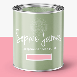 Sophie James Decor Paint Rosie