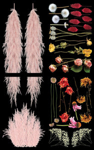 Pink Pampas and Dried Wilds Belle's and Whistles Large Transfer