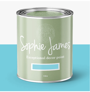 Sophie James Decor Paint Arctic Ice* NEW COLOUR FOR 2025*