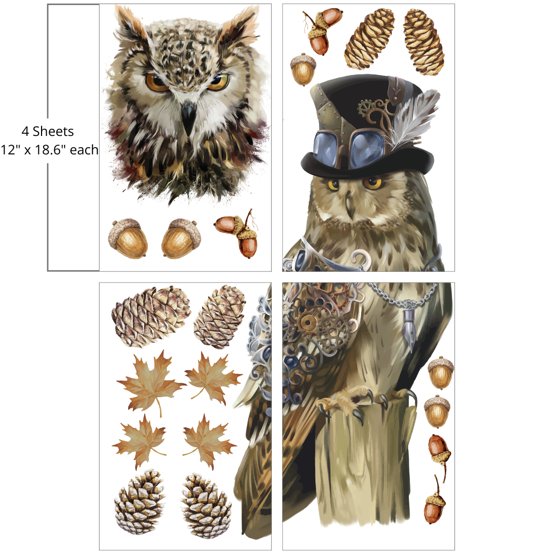 * NEW* Belle's and Whistles Large Transfer Steampunk Owl IN STOCK