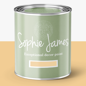 Sophie James Decor Paint Studland 50ml pot