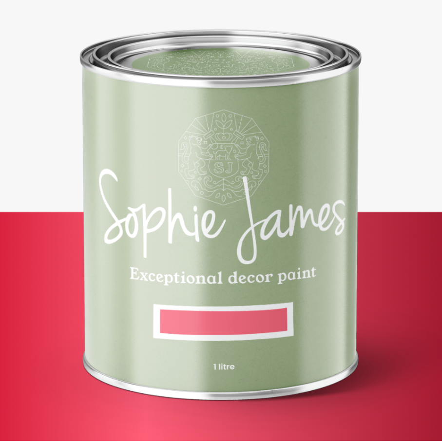 Sophie James Light Dynamic Paint Silver Fuschia