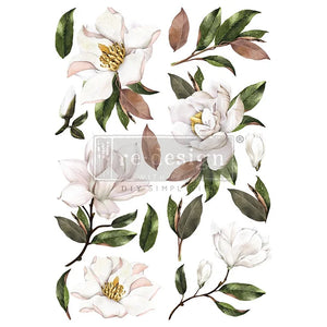 Q2 Part 1 2023 Redesign with Prima Transfer Magnolia grandiflora