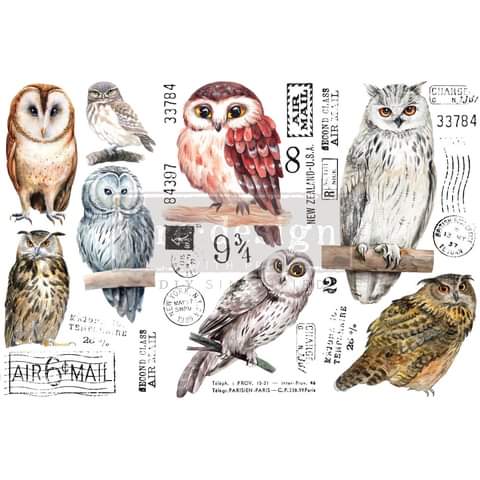 *New * August Release Redesign with Prima Small Transfer Owls