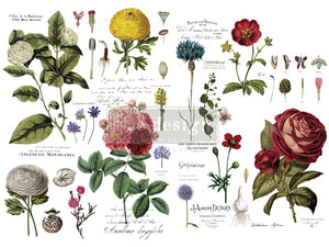 Redesign with Prima Vintage Botanical transfer