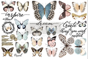*New Spring Release Redesign with Prima Papillon Collection Small Transfer