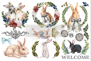 *New Spring Release Redesign with Prima Small Transfer Cottontail