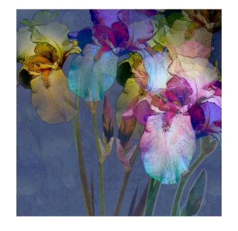 Aussie decor Luxe Decoupage paper *New* Stormy Iris