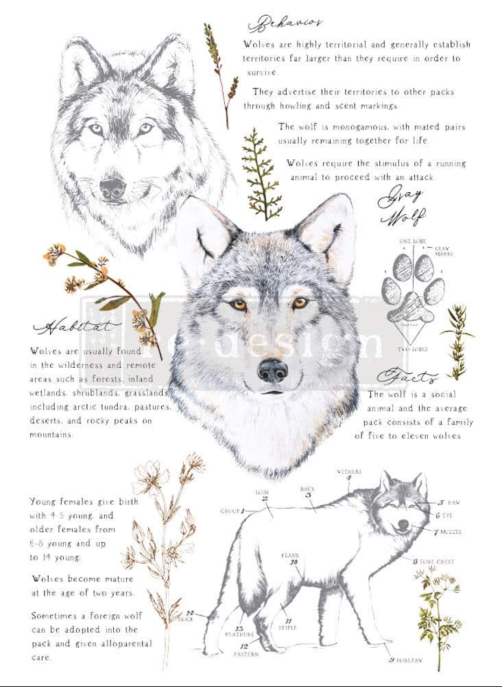 *New * Redesign Decor Transfer Gray Wolf