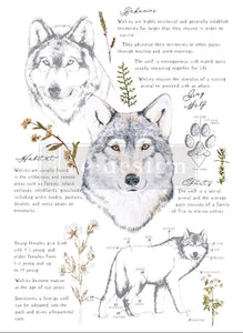 *New * Redesign Decor Transfer Gray Wolf